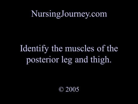 NursingJourney.com Identify the muscles of the posterior leg and thigh. © 2005.