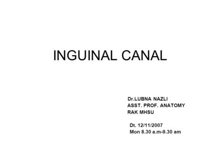 INGUINAL CANAL Dr.LUBNA NAZLI ASST. PROF. ANATOMY RAK MHSU