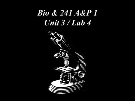Bio & 241 A&P 1 Unit 3 / Lab 4.