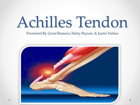 Overview of Injury Thickest tendon in the body.1,2