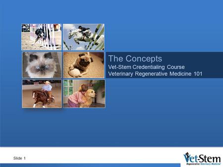 The Concepts Vet-Stem Credentialing Course