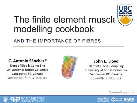 The finite element muscle modelling cookbook AND THE IMPORTANCE OF FIBRES C. Antonio Sánchez* Dept of Elec & Comp Eng University of British Columbia Vancouver,