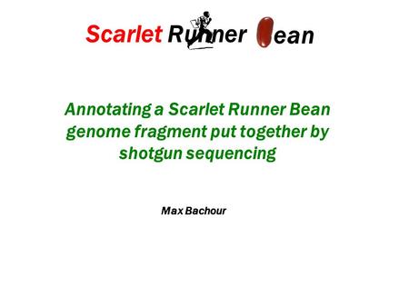 Annotating a Scarlet Runner Bean genome fragment put together by shotgun sequencing Scarlet Runner ean Max Bachour.