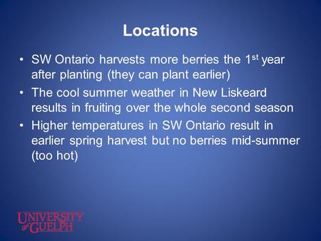 Locations SW Ontario harvests more berries the 1 st year after planting (they can plant earlier) The cool summer weather in New Liskeard results in fruiting.