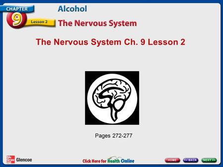 The Nervous System Ch. 9 Lesson 2 Pages 272-277. The Command Center of the Body The nervous system: Is your body’s control center Carries messages to.