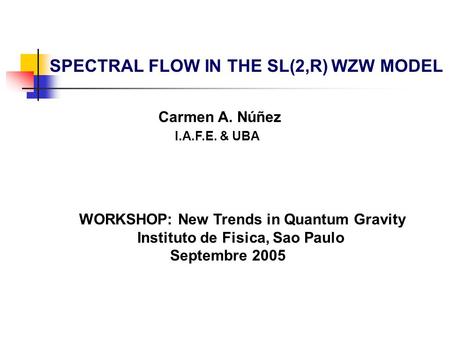 SPECTRAL FLOW IN THE SL(2,R) WZW MODEL Carmen A. Núñez I.A.F.E. & UBA WORKSHOP: New Trends in Quantum Gravity Instituto de Fisica, Sao Paulo Septembre.