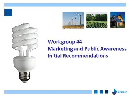 1 Workgroup #4: Marketing and Public Awareness Initial Recommendations.
