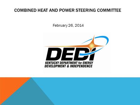COMBINED HEAT AND POWER STEERING COMMITTEE February 26, 2014.