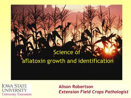 A. Robertson, 2006 © Science of aflatoxin growth and identification Alison Robertson Extension Field Crops Pathologist.