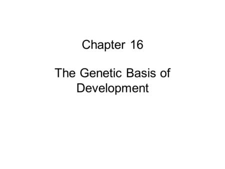 Chapter 16 The Genetic Basis of Development. Determination is a multistep process Pluripotent embryonic cells MesodermEctoderm Nerve cells Skin cells.