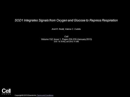 SOD1 Integrates Signals from Oxygen and Glucose to Repress Respiration Amit R. Reddi, Valeria C. Culotta Cell Volume 152, Issue 1, Pages 224-235 (January.