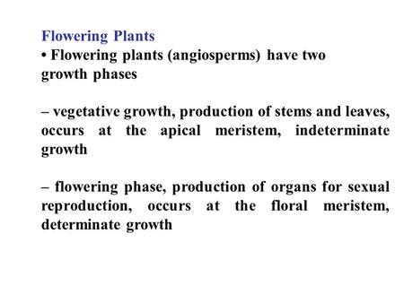 Flowering Plants Flowering plants (angiosperms) have two growth phases – vegetative growth, production of stems and leaves, occurs at the apical meristem,
