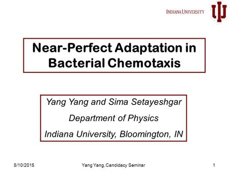 5/10/2015Yang Yang, Candidacy Seminar1 Near-Perfect Adaptation in Bacterial Chemotaxis Yang Yang and Sima Setayeshgar Department of Physics Indiana University,