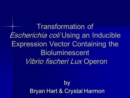 Transformation of Escherichia coli Using an Inducible Expression Vector Containing the Bioluminescent Vibrio fischeri Lux Operon by Bryan Hart & Crystal.