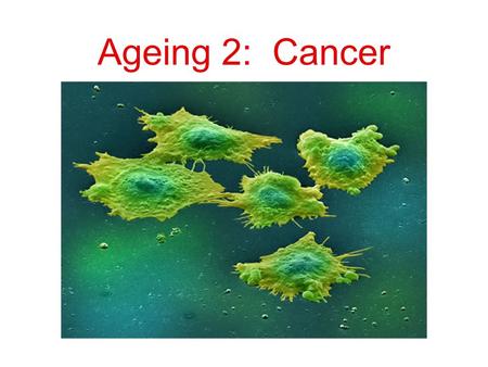 Ageing 2: Cancer Review: The force of natural selection declines with ageing due to increase in extrinsic mortality (= weakening of natural selection)