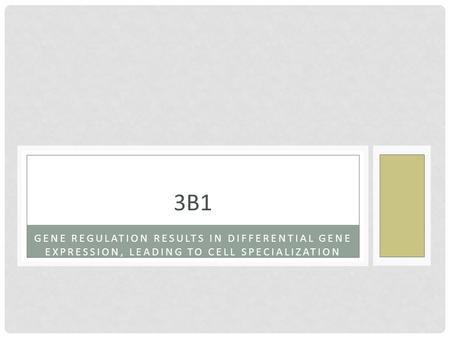 3B1 Gene regulation results in differential GENE EXPRESSION, LEADING TO CELL SPECIALIZATION.