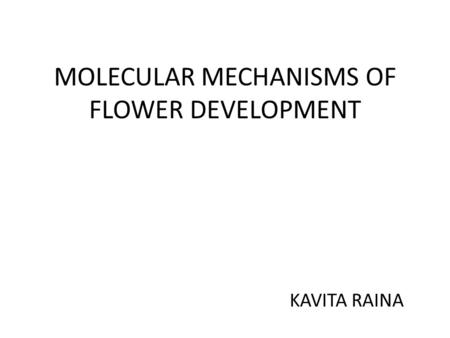 MOLECULAR MECHANISMS OF FLOWER DEVELOPMENT KAVITA RAINA.