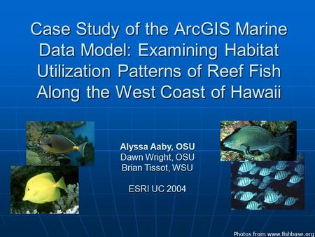 Case Study of the ArcGIS Marine Data Model: Examining Habitat Utilization Patterns of Reef Fish Along the West Coast of Hawaii Alyssa Aaby, OSU Dawn Wright,