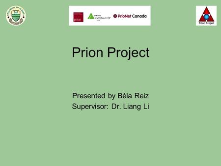 Presented by Béla Reiz Supervisor: Dr. Liang Li