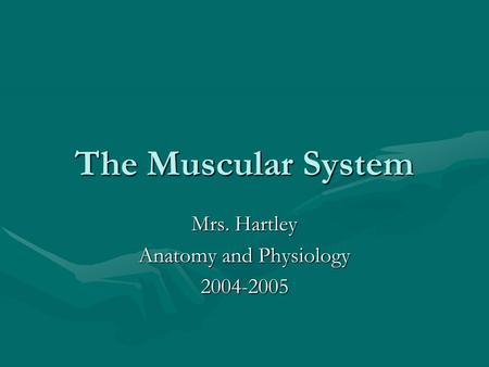 The Muscular System Mrs. Hartley Anatomy and Physiology 2004-2005.