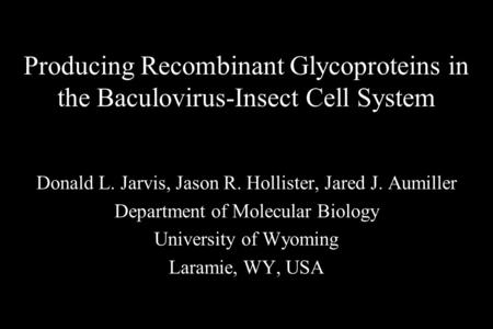 Producing Recombinant Glycoproteins in the Baculovirus-Insect Cell System Donald L. Jarvis, Jason R. Hollister, Jared J. Aumiller Department of Molecular.
