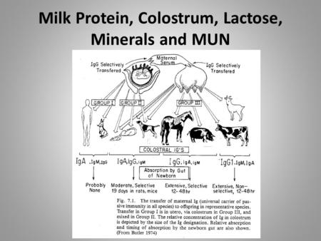 Milk Protein, Colostrum, Lactose, Minerals and MUN