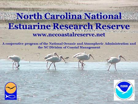 North Carolina National Estuarine Research Reserve North Carolina National Estuarine Research Reserve www.nccoastalreserve.net A cooperative program of.