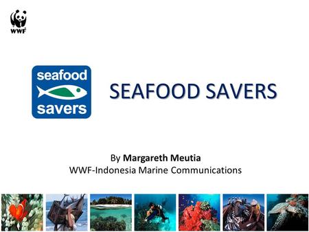 SEAFOOD SAVERS By Margareth Meutia WWF-Indonesia Marine Communications.