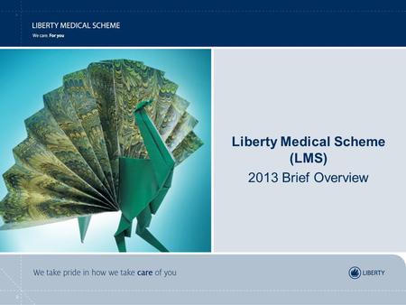 Liberty Medical Scheme (LMS) 2013 Brief Overview.