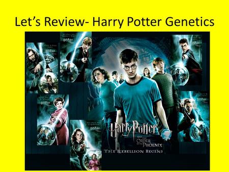 Let’s Review- Harry Potter Genetics