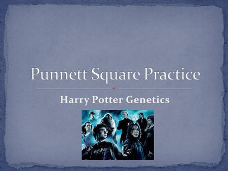 Harry Potter Genetics. 1. Ron Weasley has red hair. What is his genotype? bb.