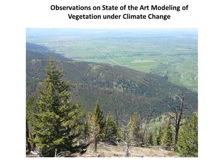 Observations on State of the Art Modeling of Vegetation under Climate Change.