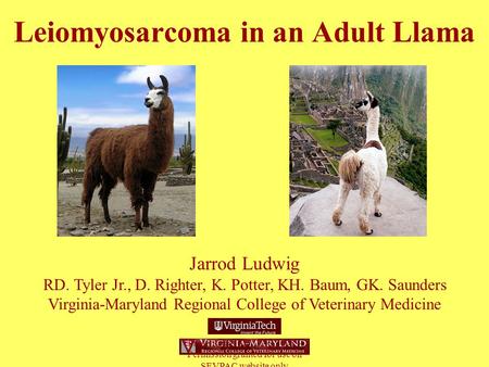 Leiomyosarcoma in an Adult Llama Jarrod Ludwig RD. Tyler Jr., D. Righter, K. Potter, KH. Baum, GK. Saunders Virginia-Maryland Regional College of Veterinary.