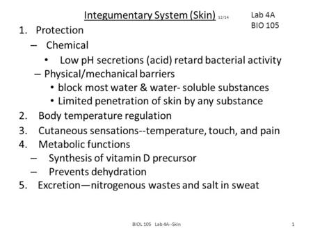 Integumentary System (Skin) 12/14