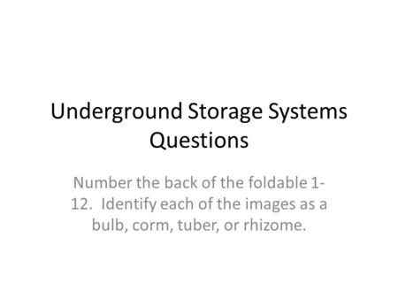 Underground Storage Systems Questions Number the back of the foldable 1- 12. Identify each of the images as a bulb, corm, tuber, or rhizome.