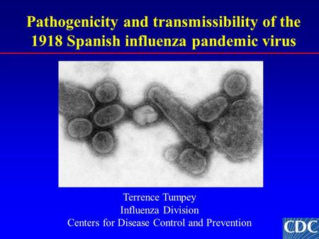 Pathogenicity and transmissibility of the 1918 Spanish influenza pandemic virus Terrence Tumpey Influenza Division Centers for Disease Control and Prevention.