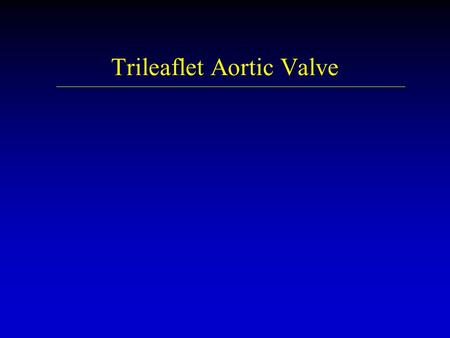 Trileaflet Aortic Valve. Management strategy for patients with chronic severe aortic regurgitation. Preoperative coronary angiography should be performed.
