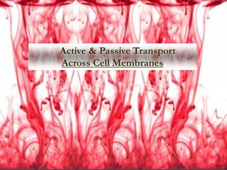Active & Passive Transport Across Cell Membranes Active & Passive Transport Across Cell Membranes.
