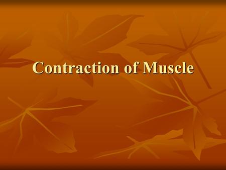 Contraction of Muscle. Sliding Filament Mechanism During muscle contraction, myosin cross bridges pull on the thin filaments, causing them to slide inward.