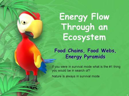 1 Energy Flow Through an Ecosystem Food Chains, Food Webs, Energy Pyramids If you were in survival mode what is the #1 thing you would be in search of?