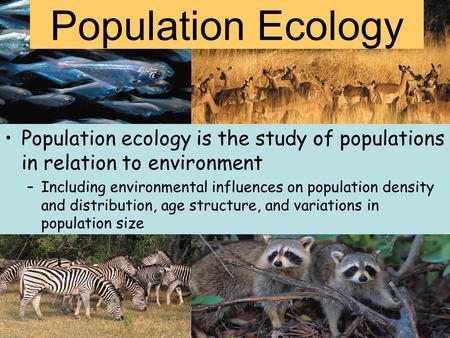 Population Ecology Population ecology is the study of populations in relation to environment Including environmental influences on population density and.