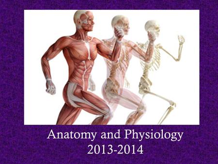 Anatomy and Physiology 2013-2014. Mrs. Tsimberg … I’ll have you introduce yourselves later in class to break things up a bit!