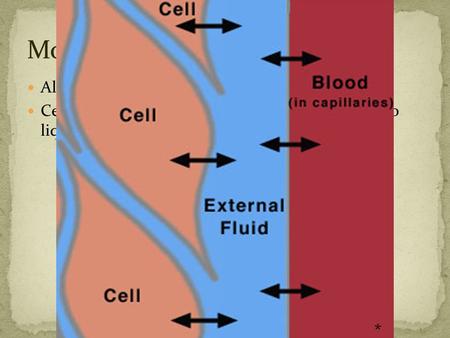 All organisms are made of cells Cells are mostly liquid. Surrounding the cells is also liquid. *