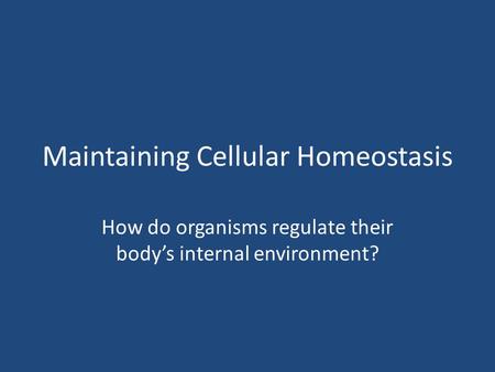 Maintaining Cellular Homeostasis How do organisms regulate their body’s internal environment?