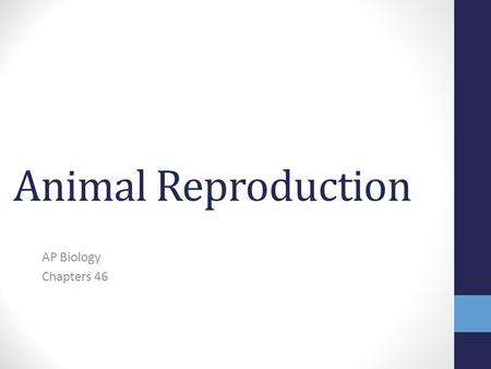 Animal Reproduction AP Biology Chapters 46.
