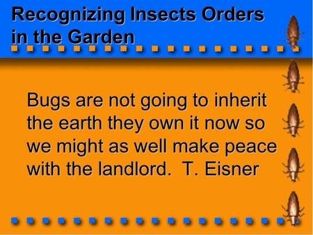 Recognizing Insects Orders in the Garden Bugs are not going to inherit the earth they own it now so we might as well make peace with the landlord. T. Eisner.