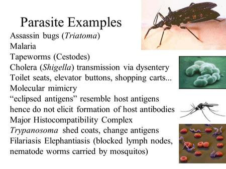 Parasite Examples Assassin bugs (Triatoma) Malaria Tapeworms (Cestodes) Cholera (Shigella) transmission via dysentery Toilet seats, elevator buttons, shopping.
