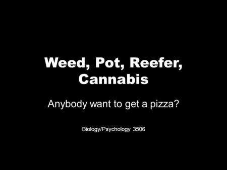 Weed, Pot, Reefer, Cannabis Anybody want to get a pizza? Biology/Psychology 3506.