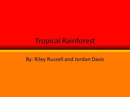 Tropical Rainforest By: Riley Russell and Jordan Davis.