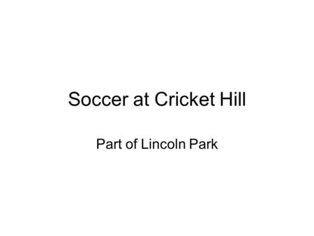 Soccer at Cricket Hill Part of Lincoln Park. Location Between Montrose and Wilson Ave, at the lakeshore.